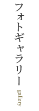 フォトギャラリー