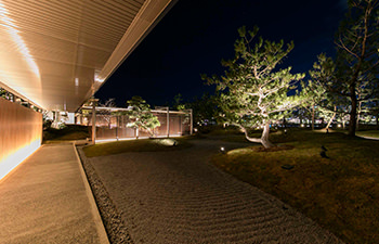 夜の日本庭園