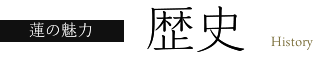 歴史