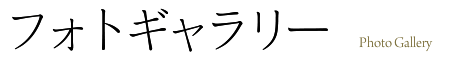 フォトギャラリー Photo Gallery