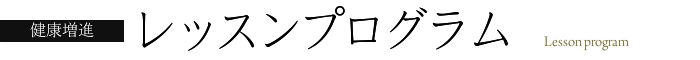 レッスンプログラム