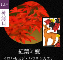 紅葉に鹿