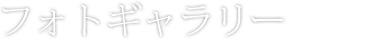 フォトギャラリー